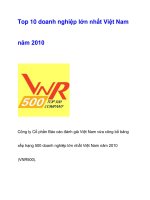 Top 10 doanh nghiệp lớn nhất Việt Nam năm 2010 ppsx