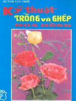 Kỹ thuật trồng và ghép hoa hồng part 1 ppt