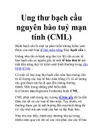 Ung thư bạch cầu nguyên bào tuỷ mạn tính (CML) ppsx