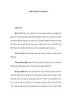 MÔI TRƯỜNG LAO ÐỘNG pptx