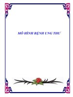MÔ HÌNH BỆNH UNG THƯ ppt