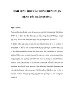 SINH BỆNH HỌC CÁC BIẾN CHỨNG MẠN BỆNH ĐÁI THÁO ĐƯỜNG ppt