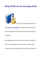 Bùng nổ đầu cơ vào các mạng xã hội ppt