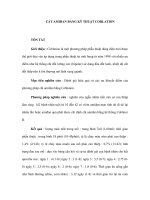 CẮT AMIĐAN BẰNG KỸ THUẬT COBLATION pptx