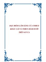 ĐẶC ĐIỂM LÂM SÀNG CỦA TORUS KHẨU CÁI VÀ TORUS HÀM DƯỚI TRÊN 615 CA pot