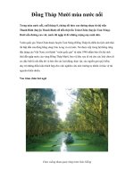 Đồng Tháp Mười mùa nước nổi ppsx