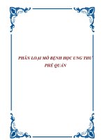 PHÂN LOẠI MÔ BỆNH HỌC UNG THƯ PHẾ QUẢN docx