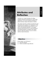 Attributes and Reflection pptx