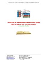 Tiểu luận: Tổ chức công tác kế toán tập hợp chi phí sản xuất và tính giá thành sản phẩm tại công ty cổ phần Pin Hà Nội ppt