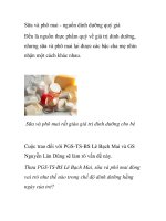 Sữa và phô mai - nguồn dinh dưỡng quý giá pps