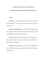 TÁC DỤNG LÂM SÀNG CỦA SEVOFLURANE VÀ ISOFLURANE TRÊN BỆNH NHÂN MỔ UNG THƯ GAN docx