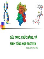 Bài giảng: CẤU TRÚC, CHỨC NĂNG, VÀ SINH TỔNG HỢP PROTEIN pot