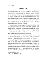 Thiết kế lưới điện khu vực 2 nguồn điện, 8 phụ tải