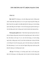 TỔN THƯƠNG XƠ VỮA ĐỘNG MẠCH CẢNH pdf