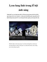 Lyon lung linh trong lễ hội ánh sáng pps