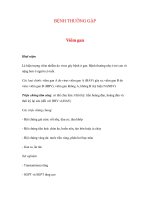 BỆNH THƯỜNG GẶP - Viêm gan pot