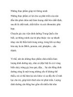 Những thực phẩm giúp trẻ thông minh docx