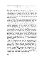 Văn hóa là gì part 6 pptx