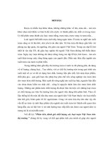 Phân tích, đánh giá chất lượng các loại rượu việt nam trên thị trường