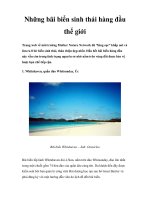 Những bãi biển sinh thái hàng đầu thế giới doc