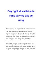Suy nghĩ về vai trò của rừng và việc bảo vệ rừng ppsx