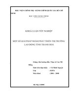 Một số giải pháp nhằm phát triển thị trường lao động tỉnh thanh hoá