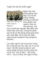 Tuyệt vời cây lúa miến ngọt! pptx