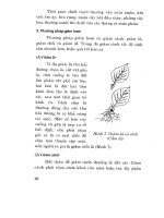 Hỏi đáp kỹ thuật nuôi trồng hoa và cây cảnh tập 1 part 4 docx