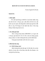 Quá trình hình thành bệnh sốt xuất huyết potx