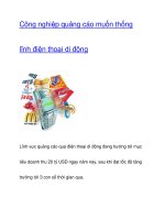 Công nghiệp quảng cáo muốn thống lĩnh điện thoại di động ppsx