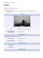 Tàu ngầm cảm tử/ ngư lôi có người lái Kaiten pptx