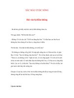 SẮC MÀU CUỘC SỐNG - Bài văn bị điểm không pps