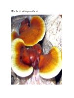 Món ăn trị viêm gan siêu vi ppsx