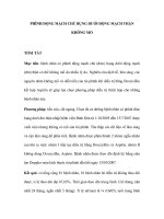 PHÌNH ĐỘNG MẠCH CHỦ BỤNG DƯỚI ĐỘNG MẠCH THẬN KHÔNG MỔ ppsx