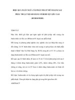 HIỆU QUẢ NGĂN NGỪA TÁI PHÁT POLYP MŨI XOANG SAU PHẪU THUẬT NỘI SOI BẰNG STEROID XỊT LIỀU CAO (BUDESONIDE) ppsx