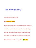 Thứ tự của tính từ pot