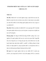 TÌNH HÌNH NHIỄM VIRUS VIÊM GAN C TRÊN NGƯỜI NGHIỆN CHÍCH MA TÚY ppsx