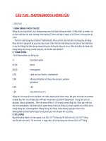 CẤU TẠO - CHỨC NĂNG CỦA HỒNG CẦU pptx