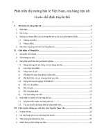 phát triển thị trường bán lẻ việt nam, cửa hàng tiện ích và các chế định truyền thống