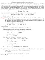 Phương trình ion - electron ppsx