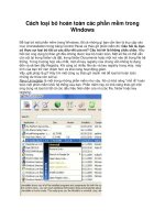 Cách loại bỏ hoàn toàn các phần mềm trong Windows pdf
