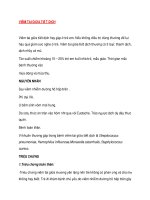 VIÊM TAI GIỮA TIẾT DỊCH ppt