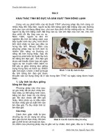 TRUYỀN TINH NHÂN TẠO CHO BÒ - phần 1- bài 2 pptx