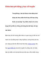 Chữa béo phì bằng y học cổ truyền pdf