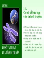 Cơ sở vật chất của tính di truyền ppsx