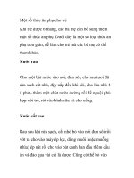 Một số thức ăn phụ cho trẻ pdf