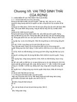 Chương VII. VAI TRÒ SINH THÁI CỦA RỪNG doc