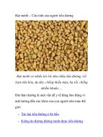 Hạt methi – Cứu tinh của người tiểu đường docx