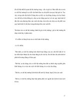 Luận văn: Vấn đề định hướng nền kinh tế cho việt nam phần 5 ppsx