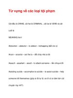 Từ vựng về các loại tội phạm ppt